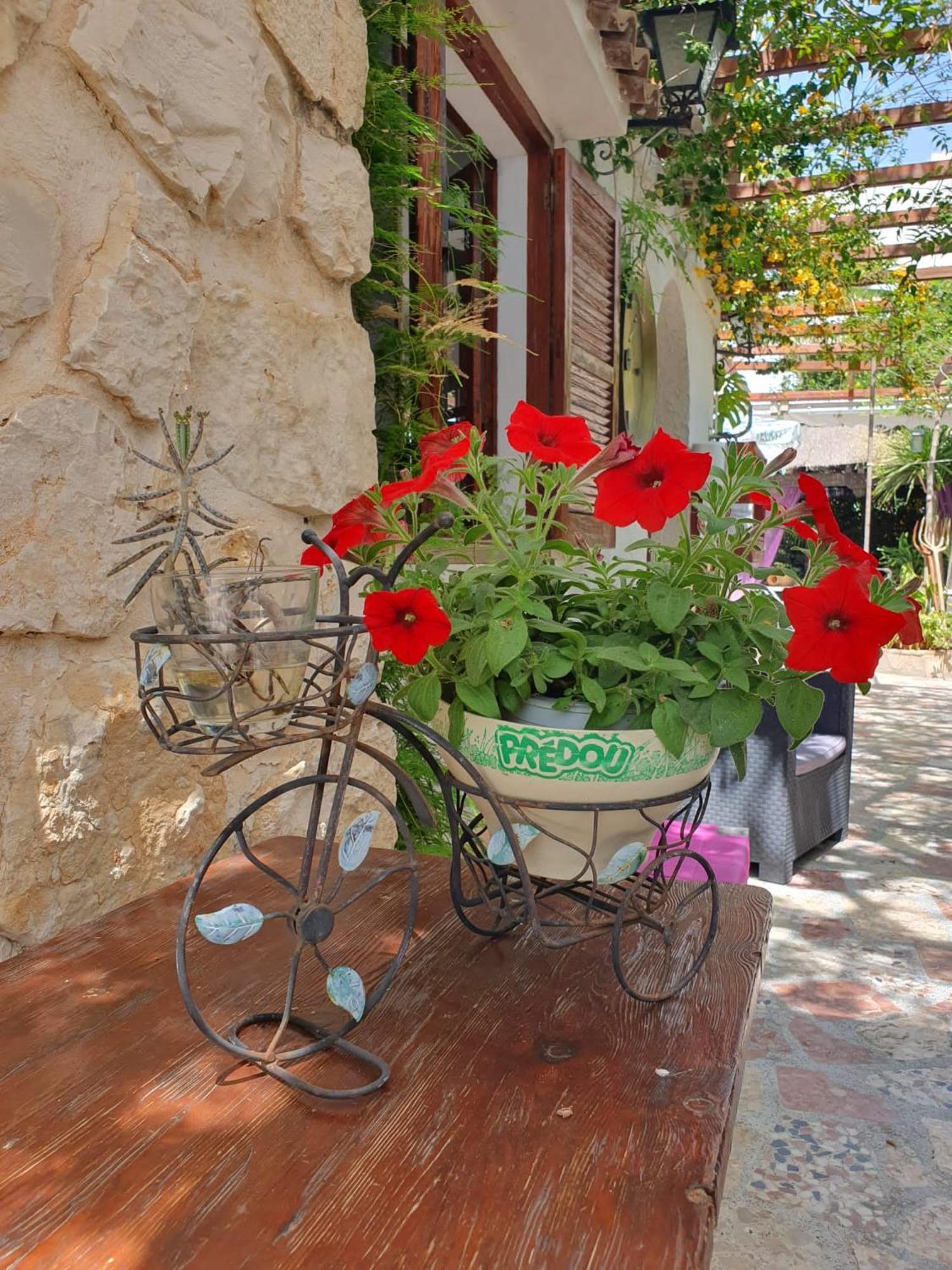 Hostal Mi Campana Dénia Esterno foto