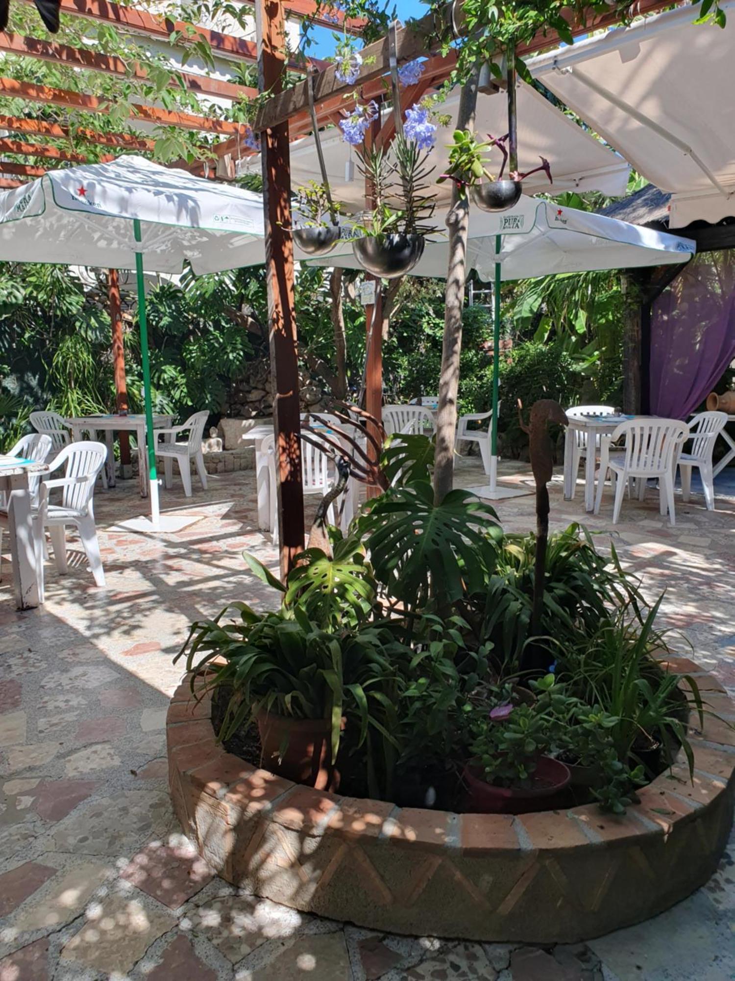 Hostal Mi Campana Dénia Esterno foto